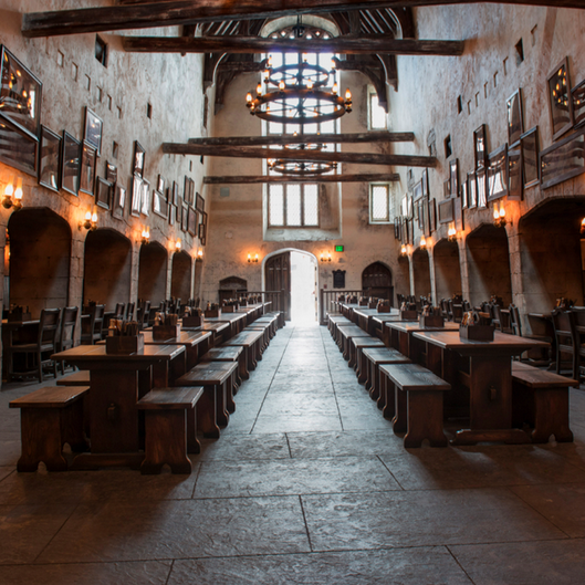 the interior of the Leaky Cauldron